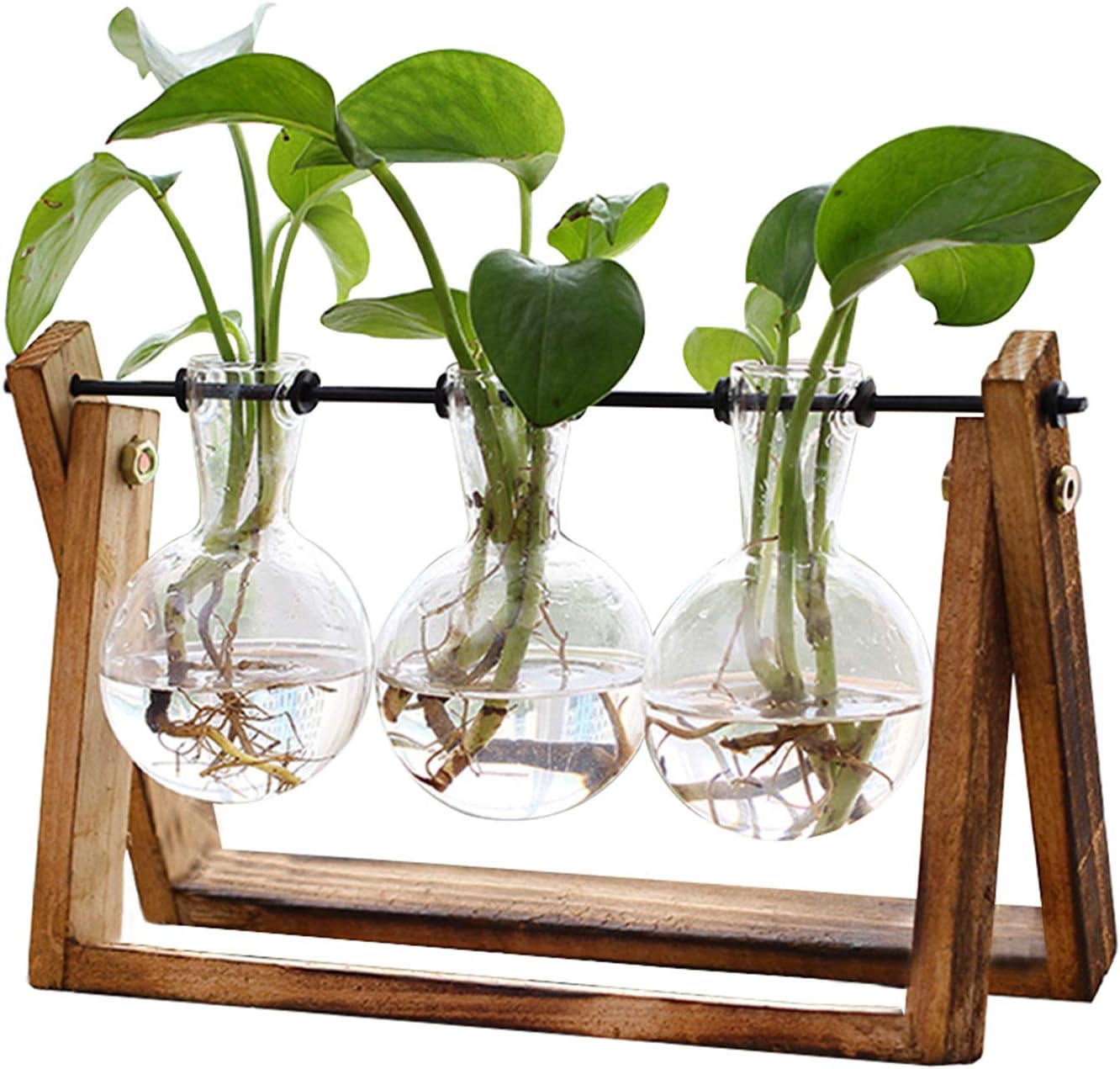 XXXFLOWER Plant Terrarium with Wooden Stand,