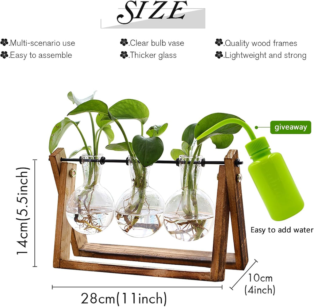 XXXFLOWER Plant Terrarium with Wooden Stand,